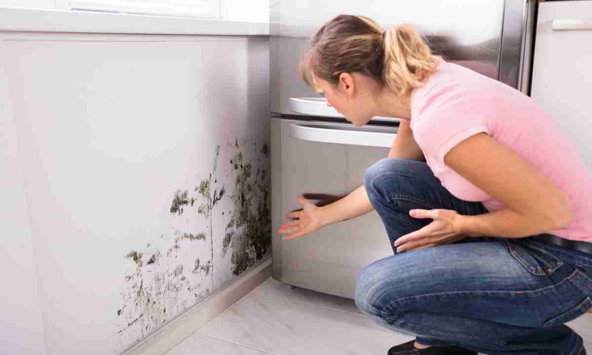 a woman getting worried after seeing mold on the wall.