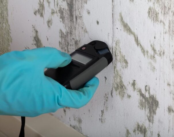 Moisture testing within a wall