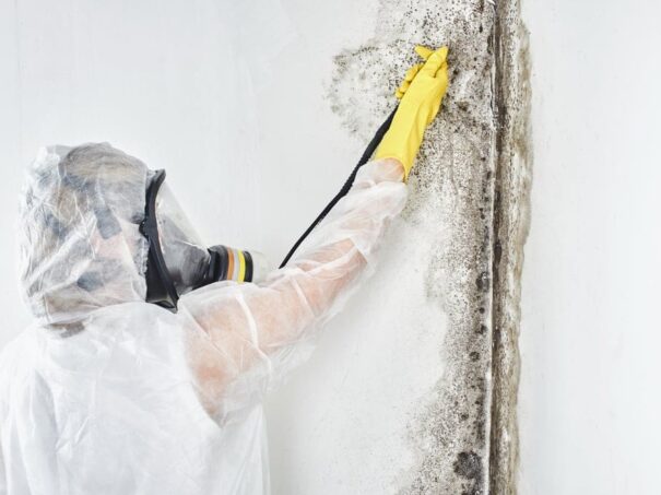 Mold stain and odor removal