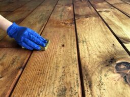 cleaning mold on the wood surface