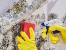 close shot of hands wearing yellow gloves scrubbing mold from the wall.